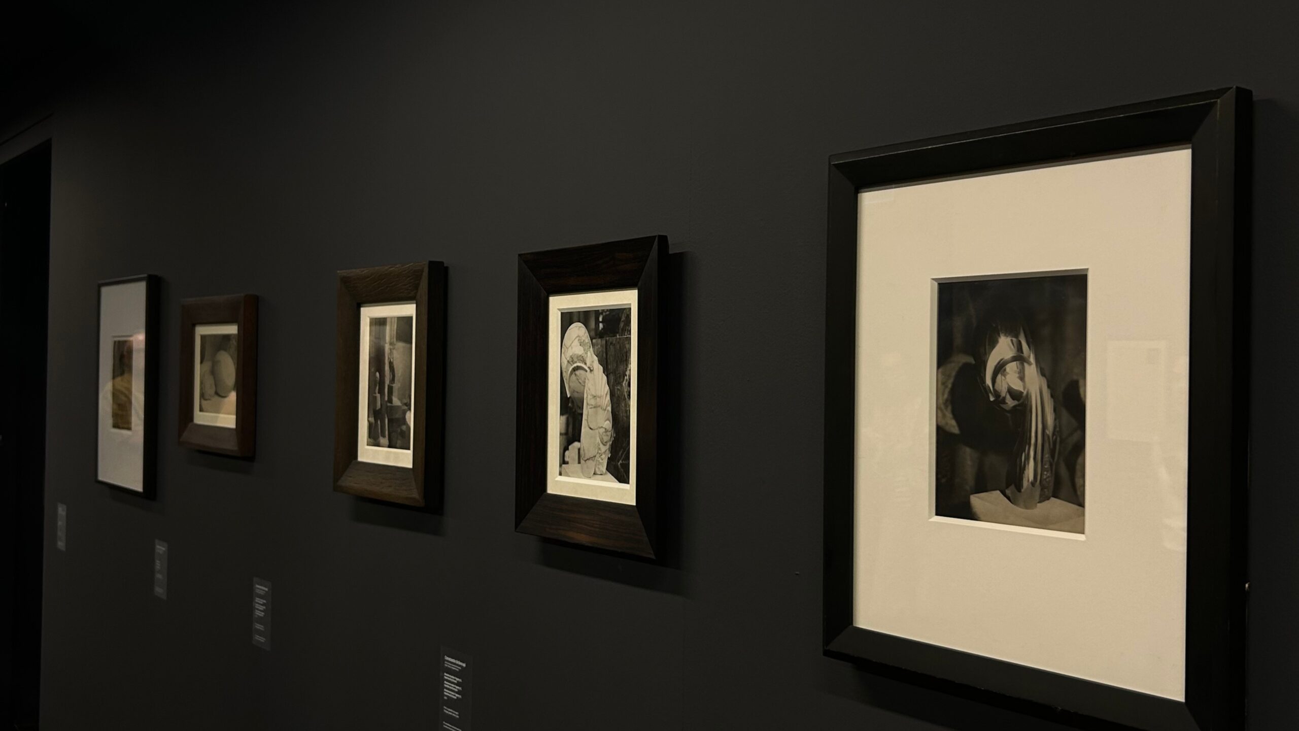 Socioverse - art and culture experiences